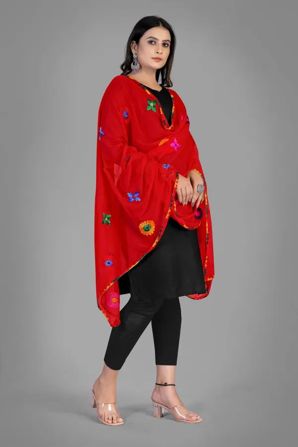 Nazmin_Multicolour_Floral_Embroidered_Dupatta_With_Lace_Red