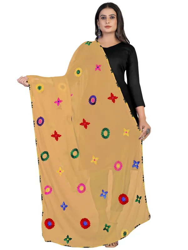Nazmin_Multicolour_Floral_Embroidered_Dupatta_With_Lace_Grey