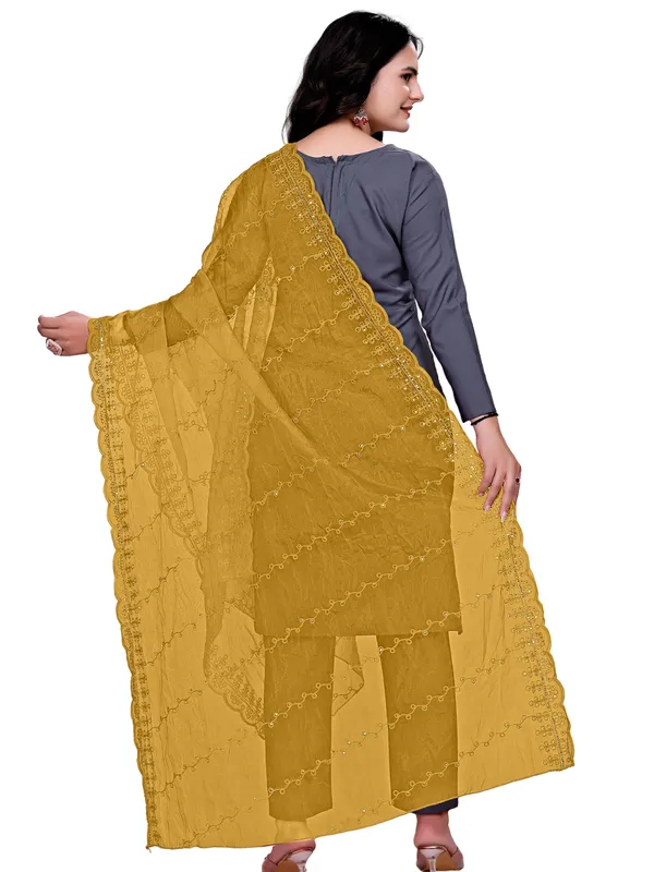 Organza_Embroidered_Dupatta_With_Sequins_Scalloped_Border_Beige