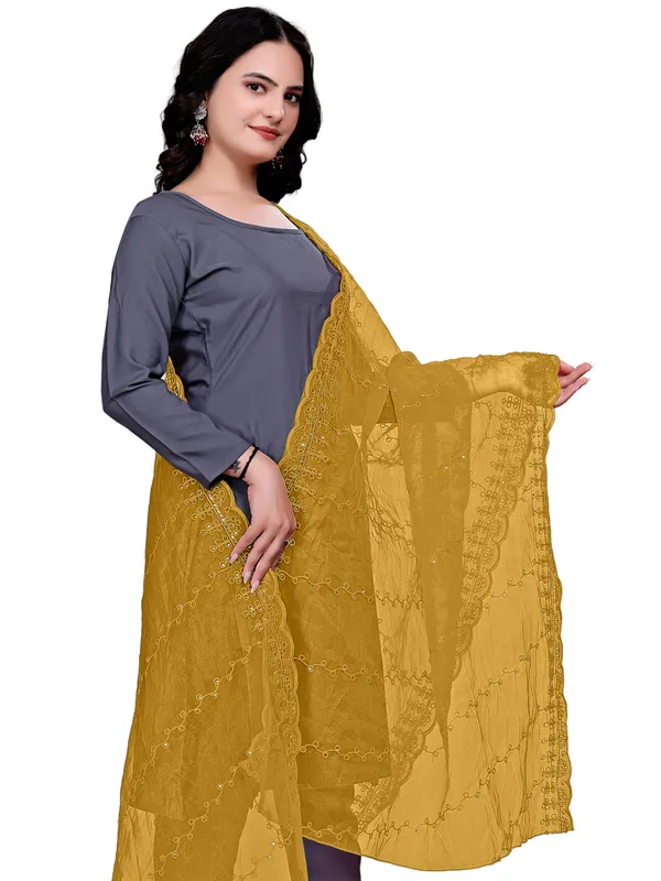 Organza_Embroidered_Dupatta_With_Sequins_Scalloped_Border_Beige