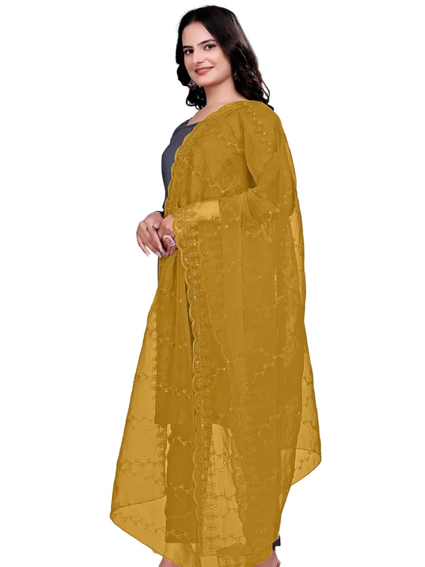 Organza_Embroidered_Dupatta_With_Sequins_Scalloped_Border_Beige