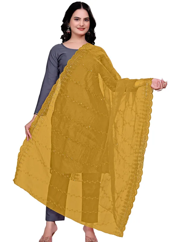 Organza_Embroidered_Dupatta_With_Sequins_Scalloped_Border_Beige