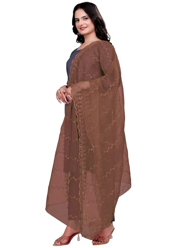 Organza_Embroidered_Dupatta_With_Sequins_Scalloped_Border_Brown