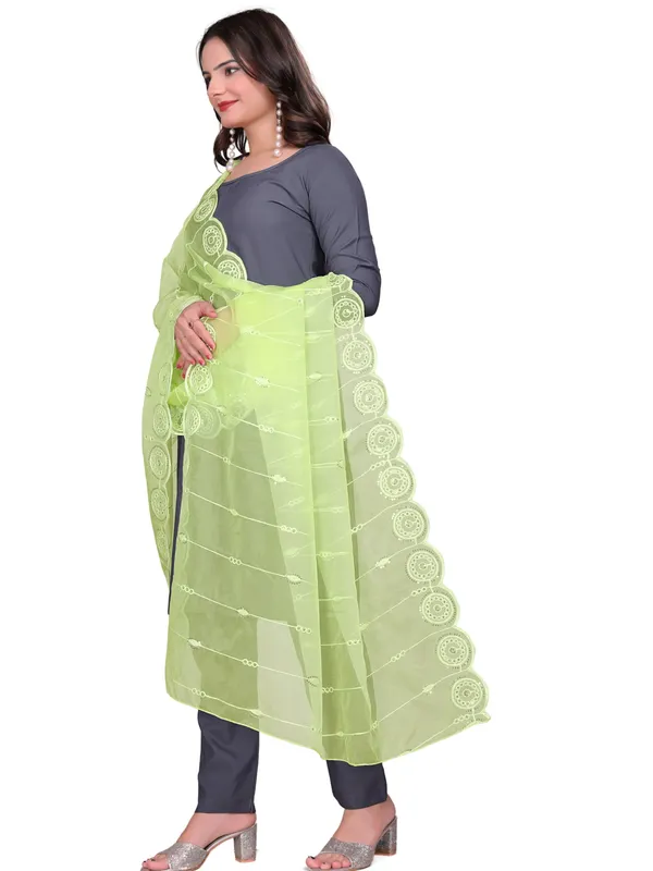 Organza_Striped_Embroidery_Dupatta_With_Medallion_Border_Lemon_Yellow