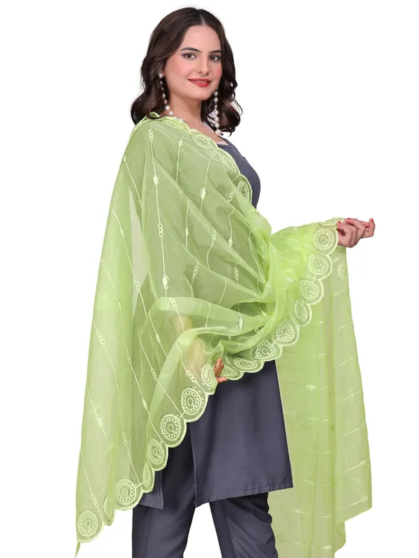 Organza_Striped_Embroidery_Dupatta_With_Medallion_Border_Lemon_Yellow