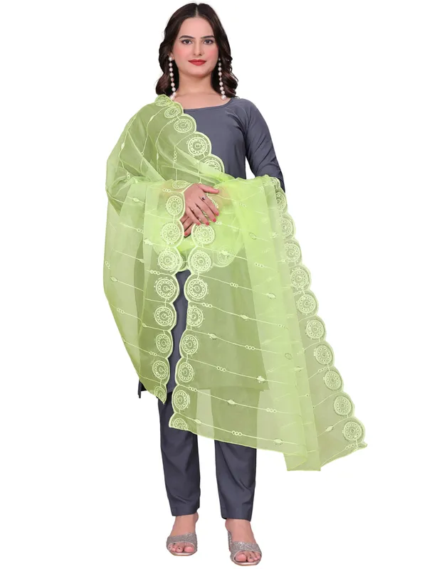 Organza_Striped_Embroidery_Dupatta_With_Medallion_Border_Lemon_Yellow