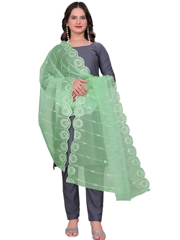 Organza_Striped_Embroidery_Dupatta_With_Medallion_Border_Pista_Green