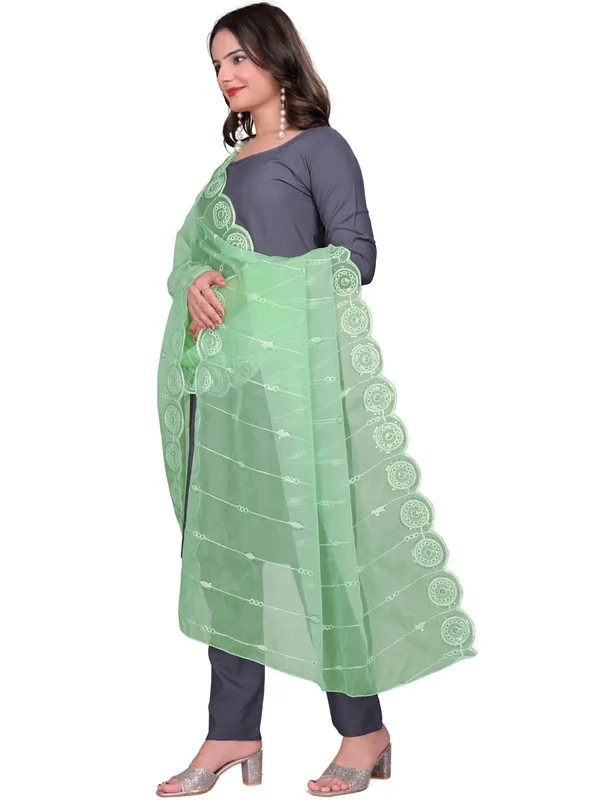 Organza_Striped_Embroidery_Dupatta_With_Medallion_Border_Pista_Green