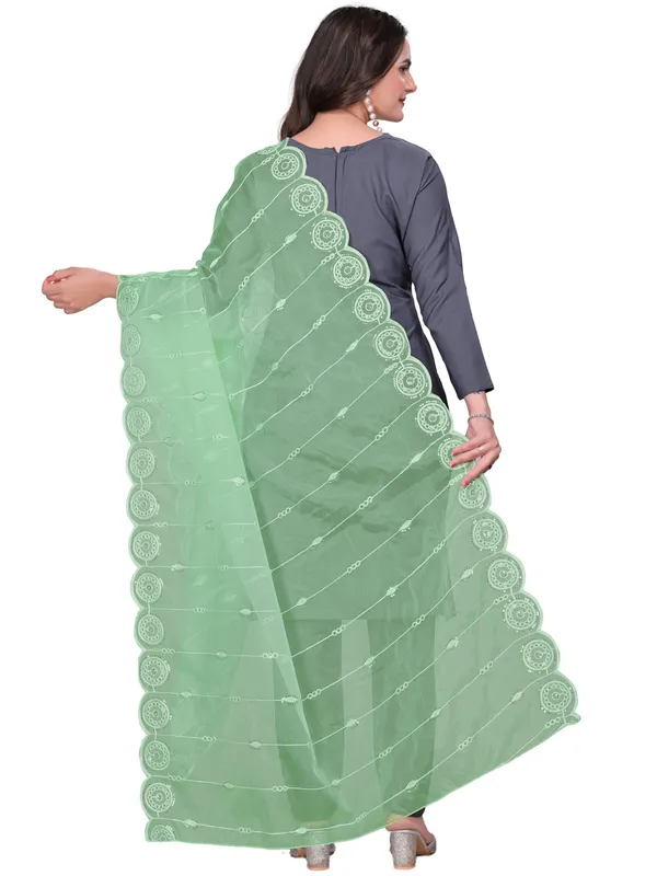 Organza_Striped_Embroidery_Dupatta_With_Medallion_Border_Pista_Green