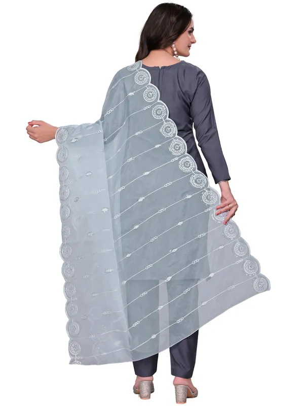 Organza_Striped_Embroidery_Dupatta_With_Medallion_Border_Grey