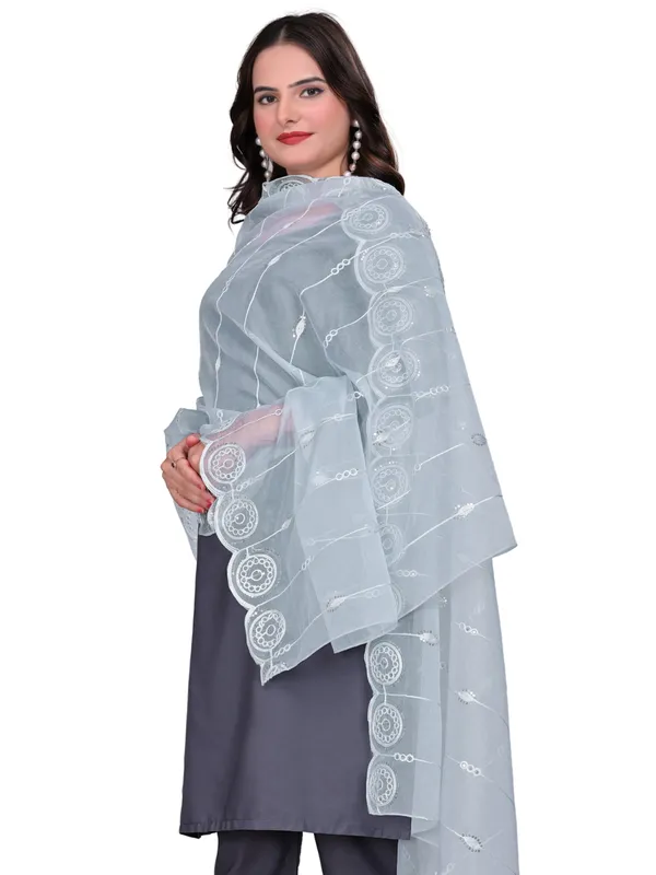 Organza_Striped_Embroidery_Dupatta_With_Medallion_Border_Grey