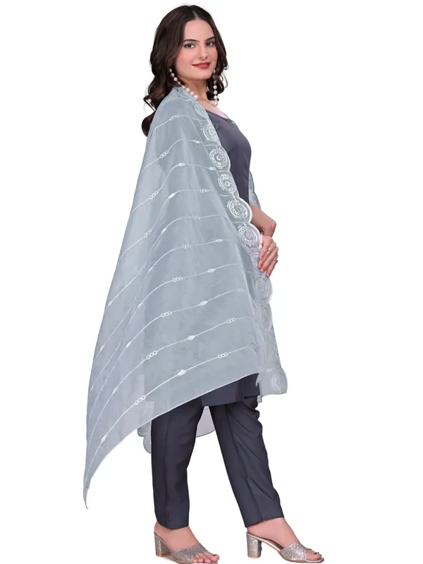 Organza_Striped_Embroidery_Dupatta_With_Medallion_Border_Grey