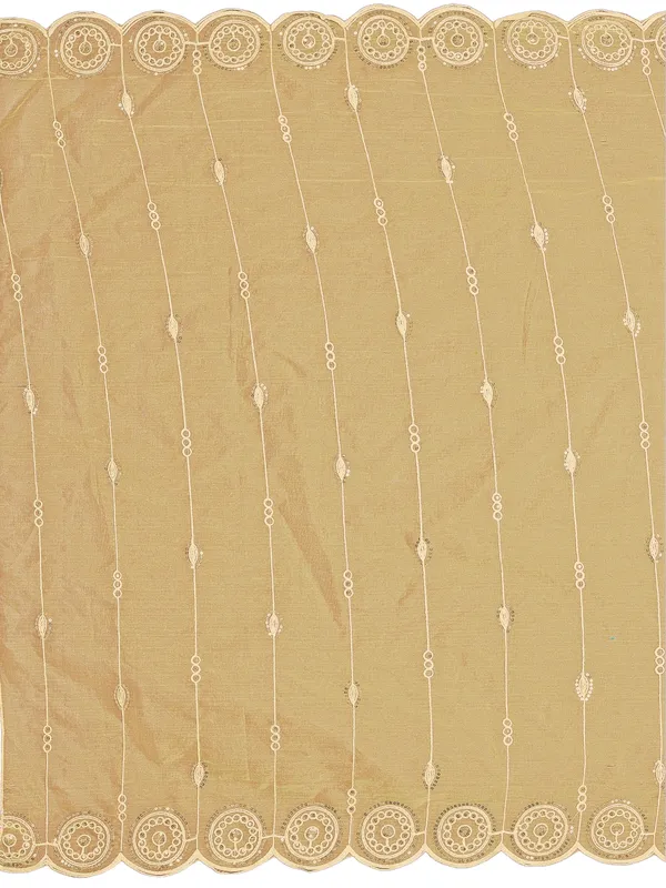 Organza_Striped_Embroidery_Dupatta_With_Medallion_Border_Beige