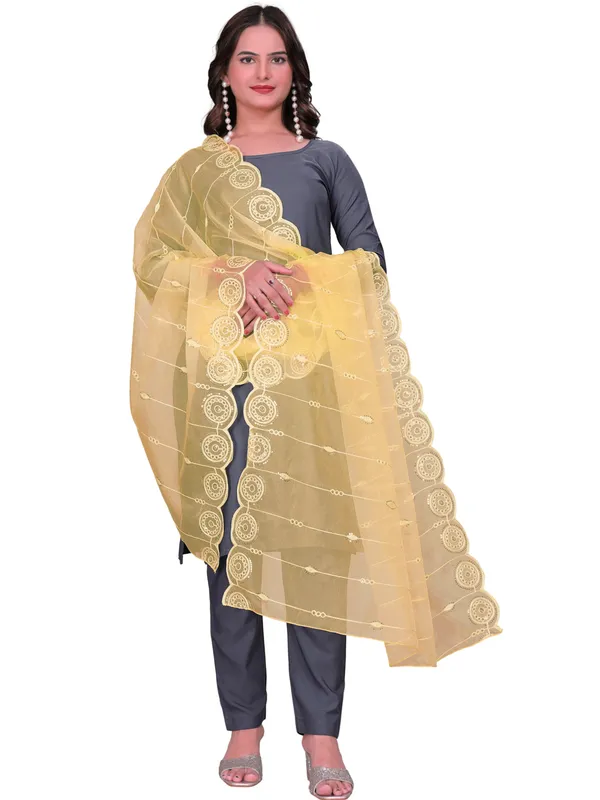 Organza_Striped_Embroidery_Dupatta_With_Medallion_Border_Beige