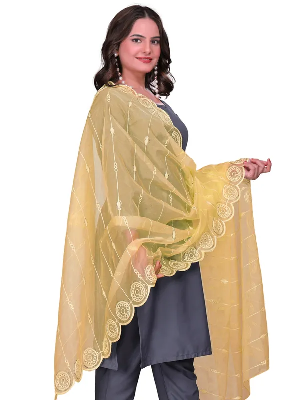 Organza_Striped_Embroidery_Dupatta_With_Medallion_Border_Beige