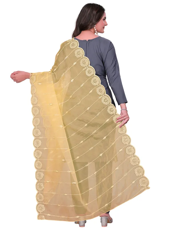 Organza_Striped_Embroidery_Dupatta_With_Medallion_Border_Beige