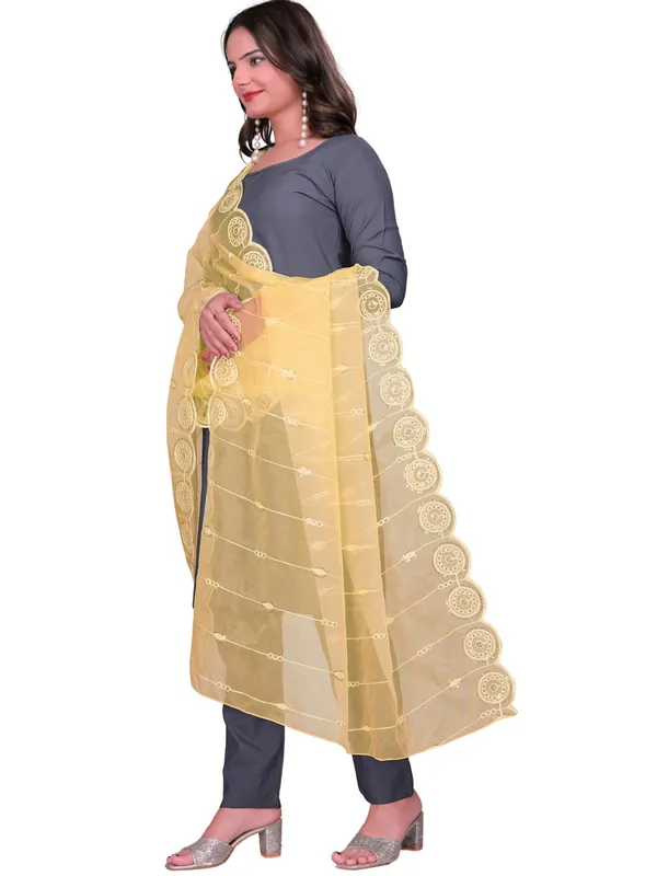 Organza_Striped_Embroidery_Dupatta_With_Medallion_Border_Beige