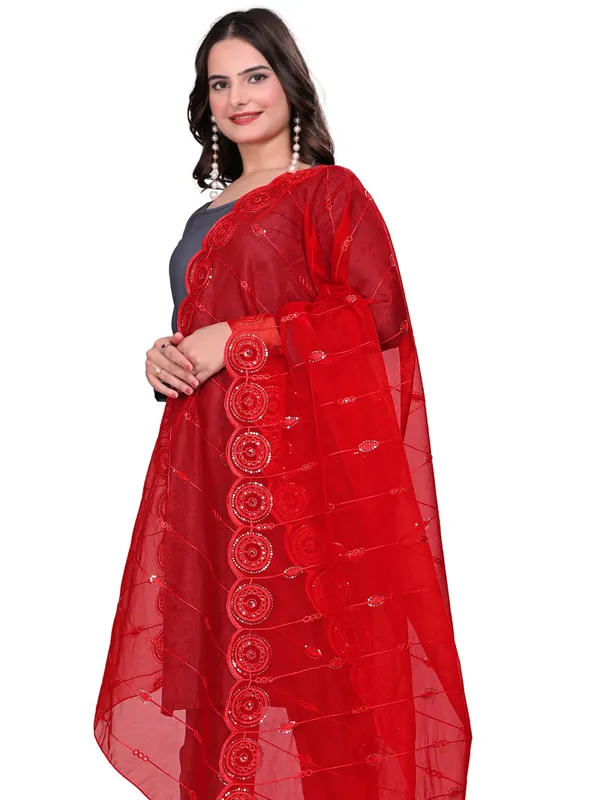 Organza_Striped_Embroidery_Dupatta_With_Medallion_Border_Red