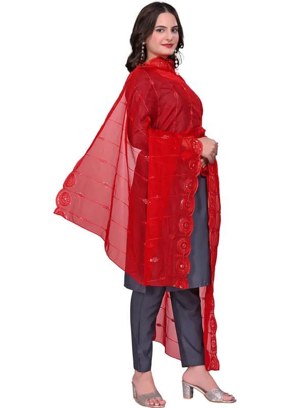 Organza_Striped_Embroidery_Dupatta_With_Medallion_Border_Red