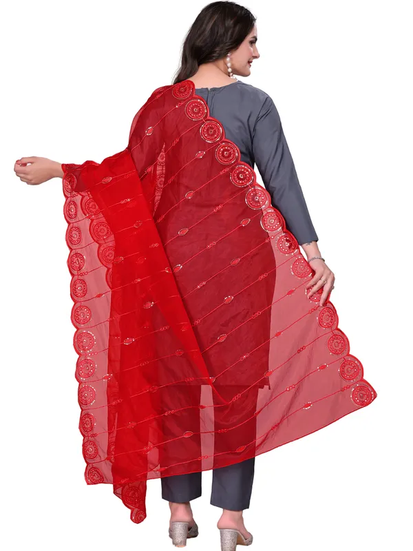 Organza_Striped_Embroidery_Dupatta_With_Medallion_Border_Red