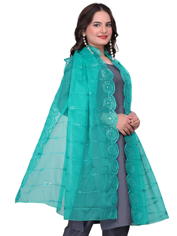 Organza_Striped_Embroidery_Dupatta_With_Medallion_Border_Rama_Green