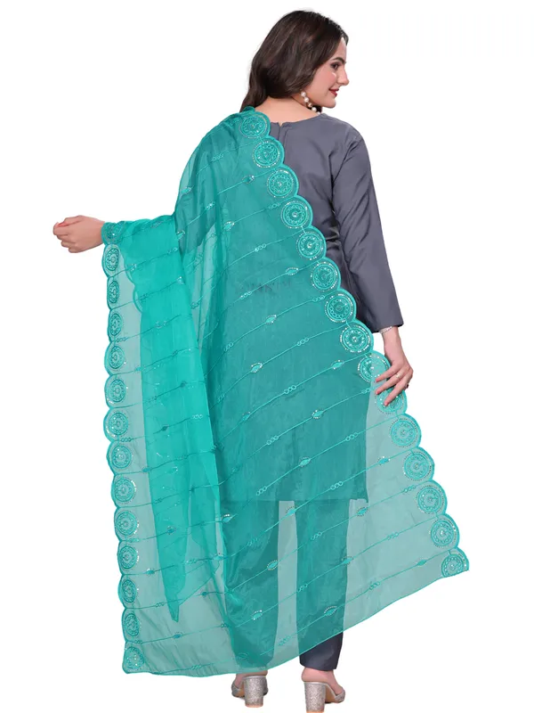 Organza_Striped_Embroidery_Dupatta_With_Medallion_Border_Rama_Green