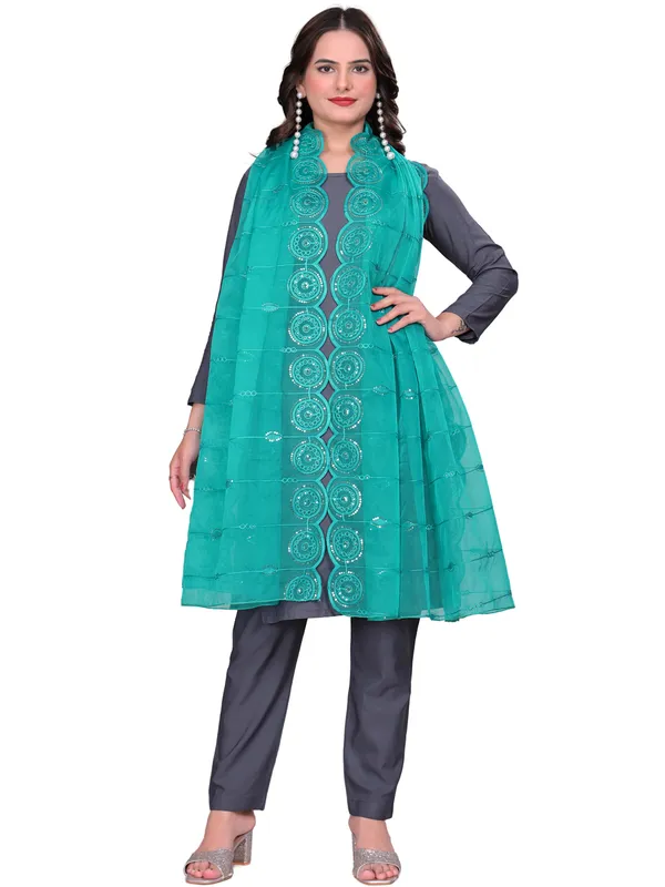 Organza_Striped_Embroidery_Dupatta_With_Medallion_Border_Rama_Green