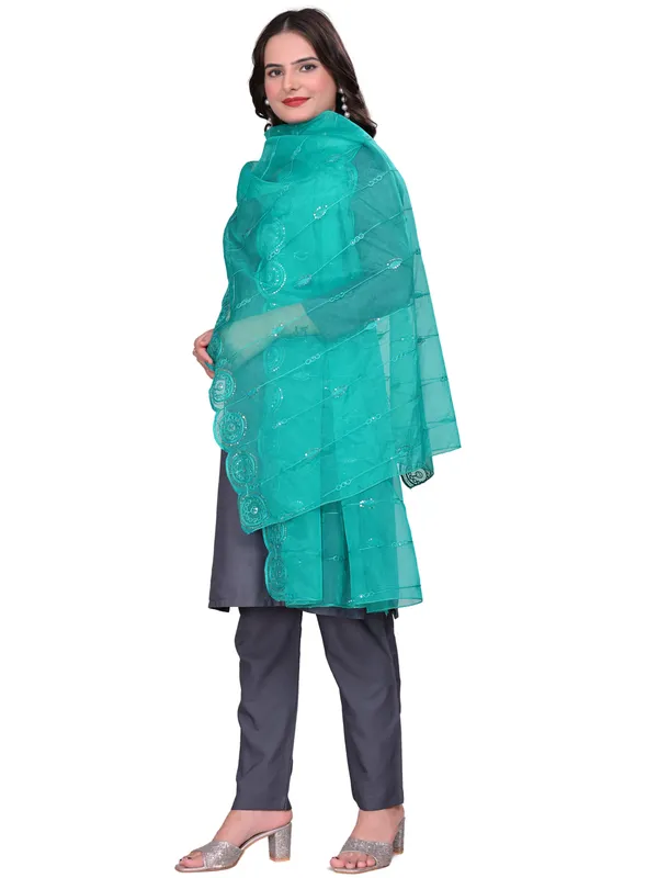 Organza_Striped_Embroidery_Dupatta_With_Medallion_Border_Rama_Green