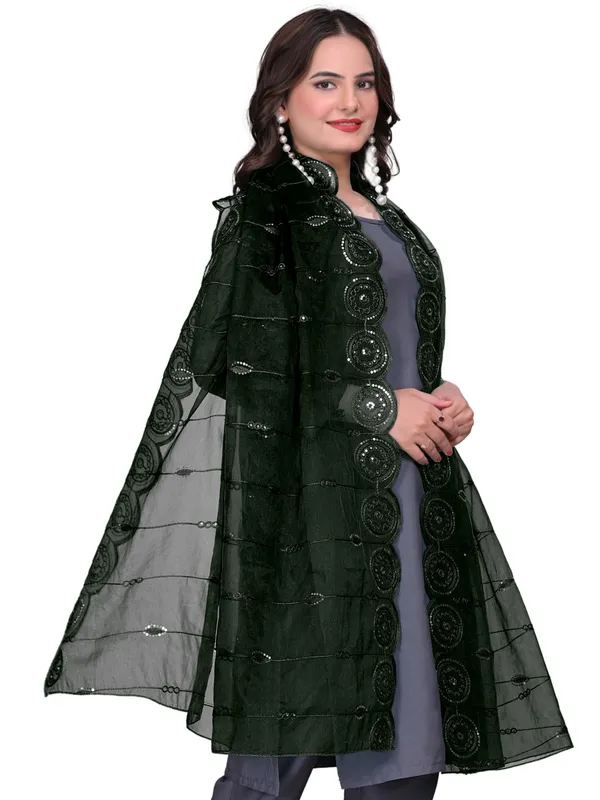 Organza_Striped_Embroidery_Dupatta_With_Medallion_Border_Green