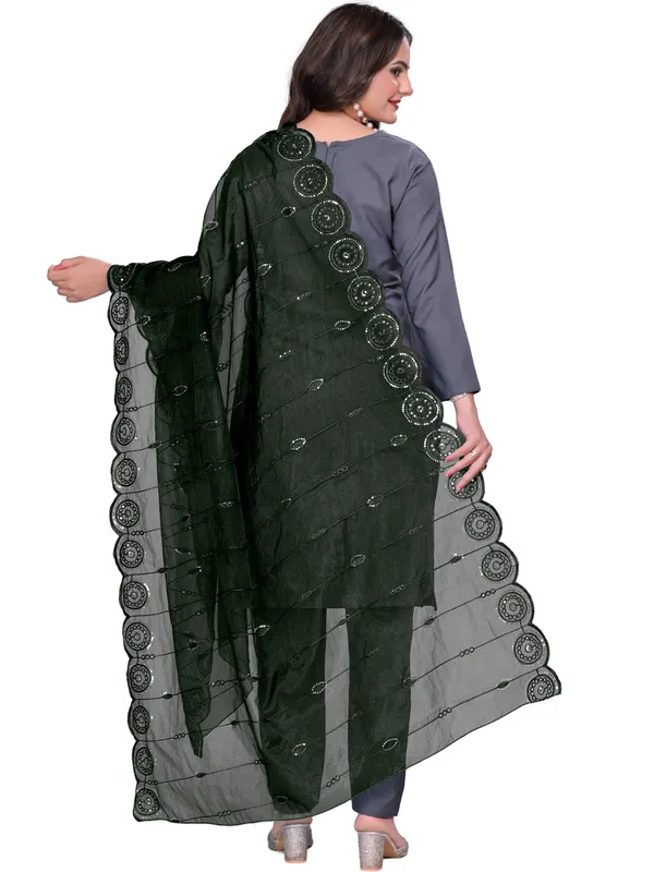 Organza_Striped_Embroidery_Dupatta_With_Medallion_Border_Green