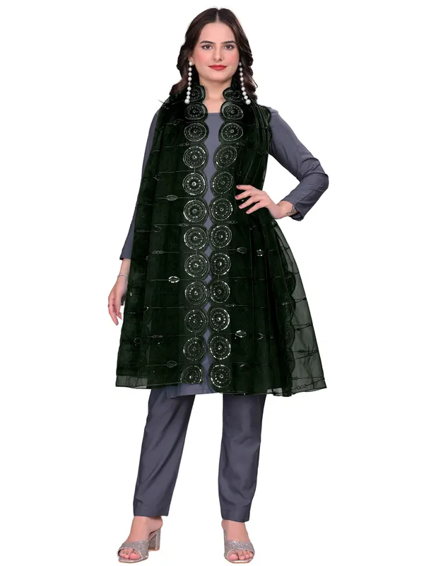 Organza_Striped_Embroidery_Dupatta_With_Medallion_Border_Green