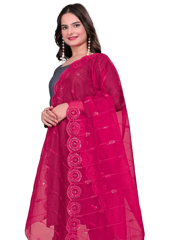 Organza_Striped_Embroidery_Dupatta_With_Medallion_Border_Pink