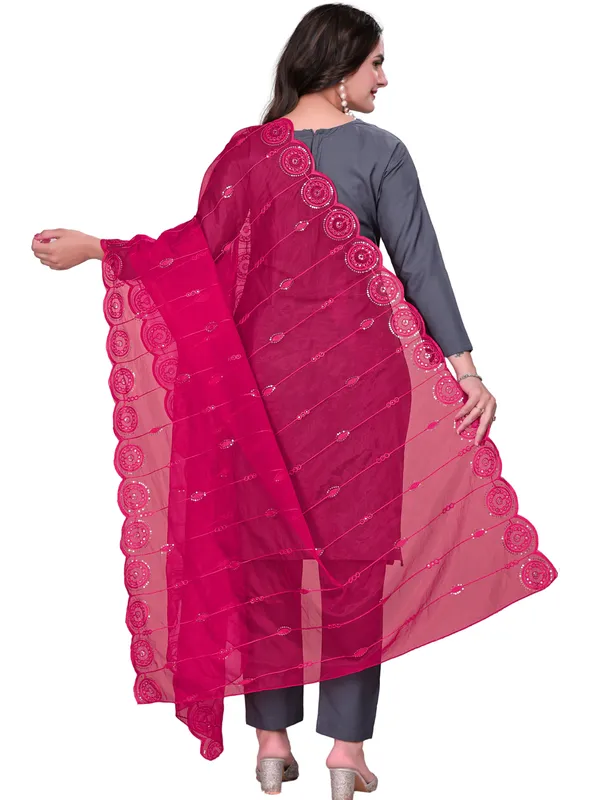 Organza_Striped_Embroidery_Dupatta_With_Medallion_Border_Pink