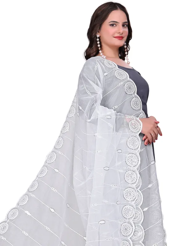 Organza_Striped_Embroidery_Dupatta_With_Medallion_Border_White