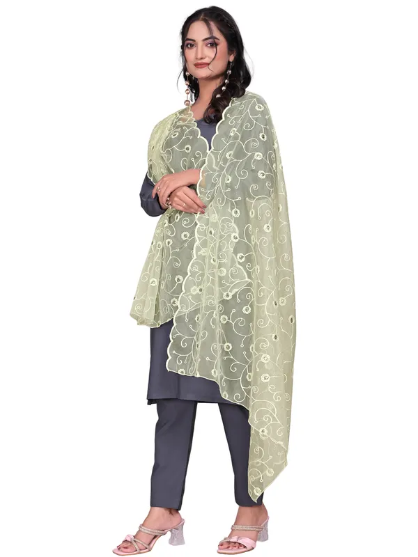 Organza_Floral_Jaal_Embroidered_Dupatta_With_Sequins_Off_White