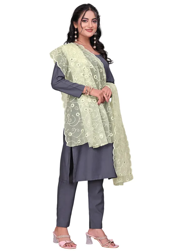 Organza_Floral_Jaal_Embroidered_Dupatta_With_Sequins_Off_White