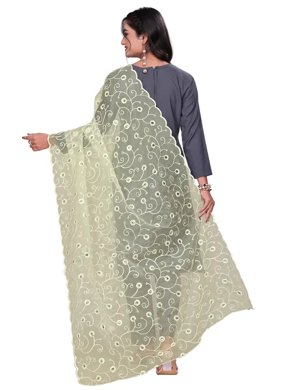 Organza_Floral_Jaal_Embroidered_Dupatta_With_Sequins_Off_White