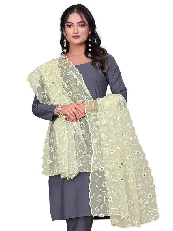 Organza_Floral_Jaal_Embroidered_Dupatta_With_Sequins_Off_White