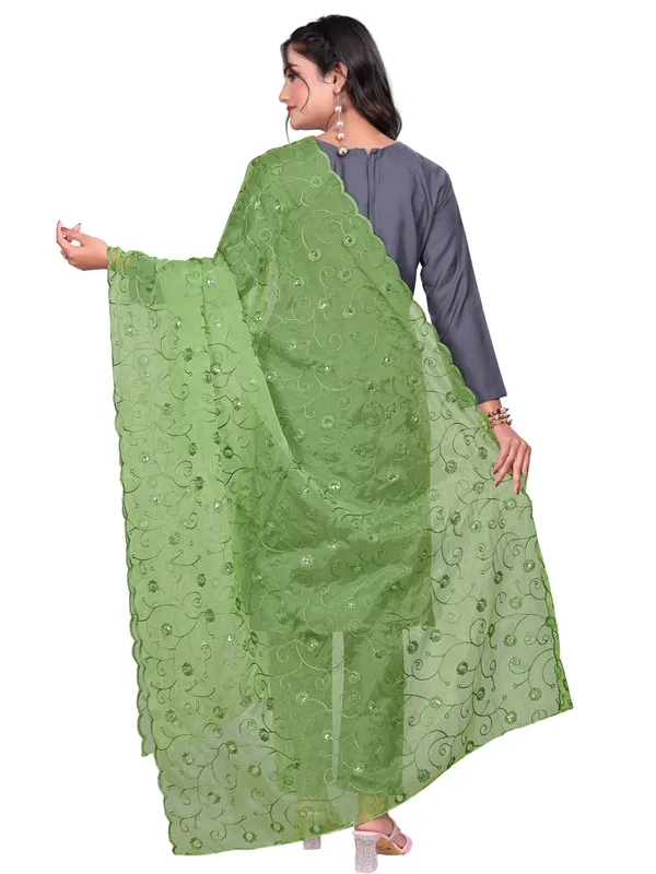 Organza_Floral_Jaal_Embroidered_Dupatta_With_Sequins_Pista_Green