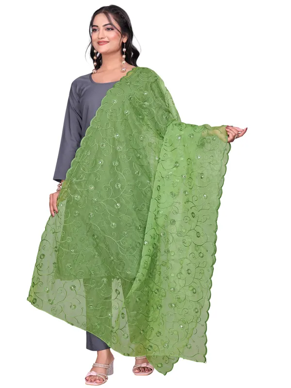 Organza_Floral_Jaal_Embroidered_Dupatta_With_Sequins_Pista_Green