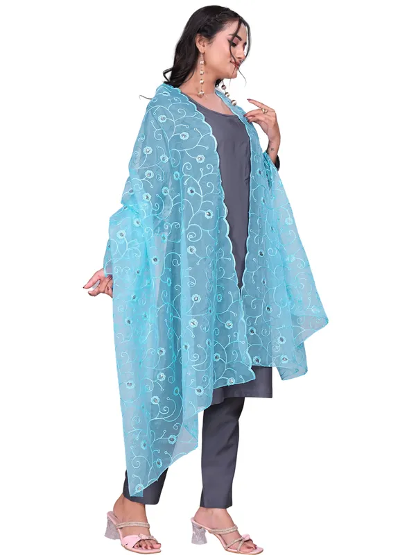 Organza_Floral_Jaal_Embroidered_Dupatta_With_Sequins_Sky_Blue