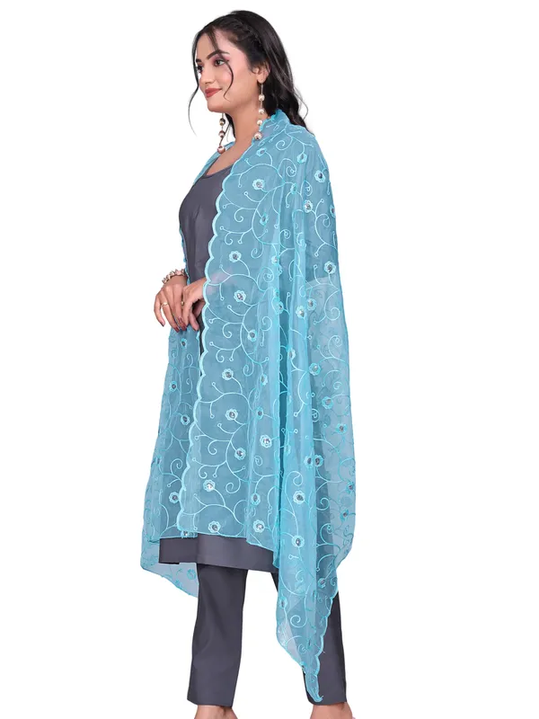 Organza_Floral_Jaal_Embroidered_Dupatta_With_Sequins_Sky_Blue