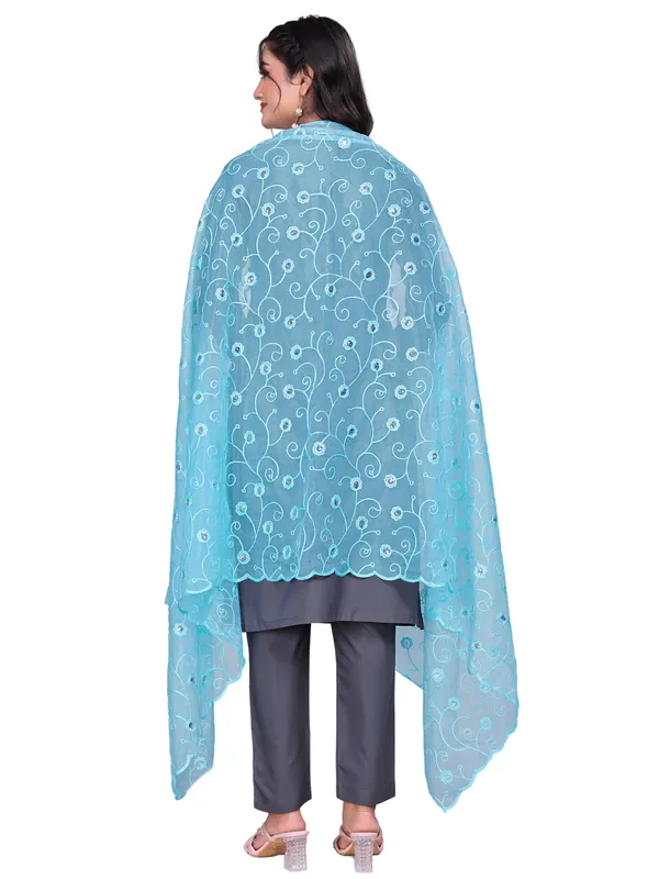 Organza_Floral_Jaal_Embroidered_Dupatta_With_Sequins_Sky_Blue