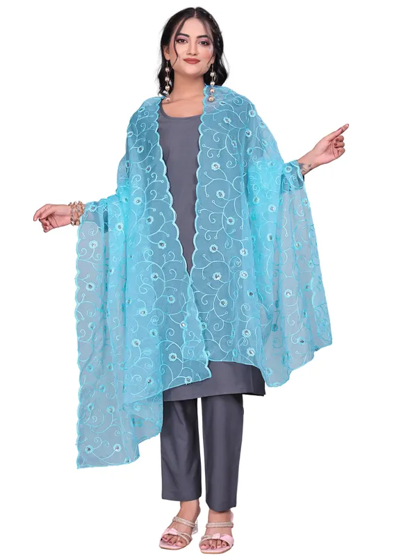 Organza_Floral_Jaal_Embroidered_Dupatta_With_Sequins_Sky_Blue