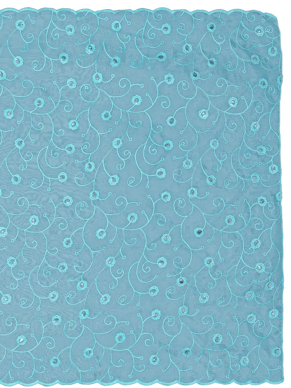Organza_Floral_Jaal_Embroidered_Dupatta_With_Sequins_Sky_Blue