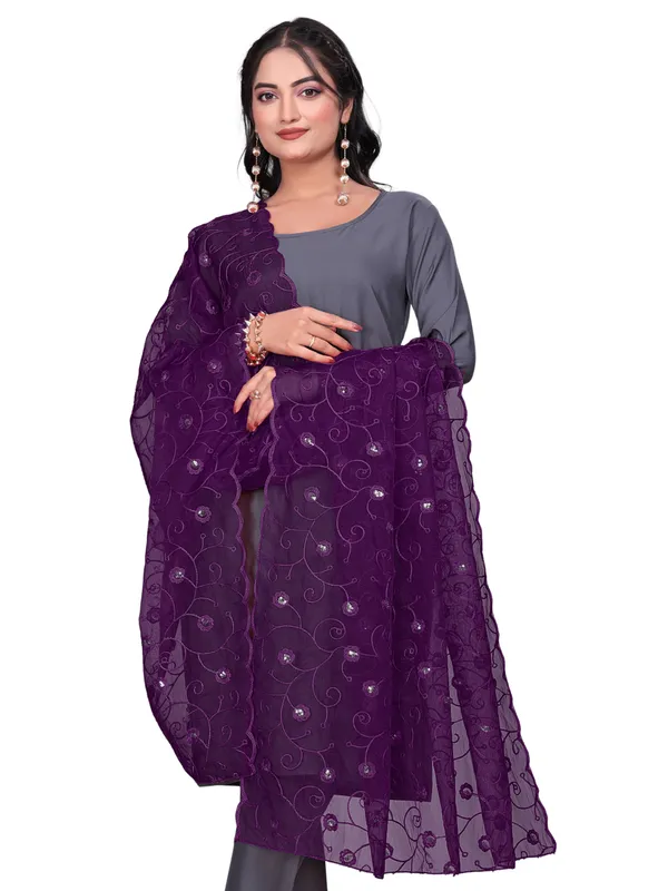 Organza_Floral_Jaal_Embroidered_Dupatta_With_Sequins_Wine