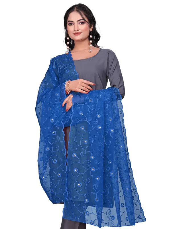 Organza_Floral_Jaal_Embroidered_Dupatta_With_Sequins_Kerosin_Blue