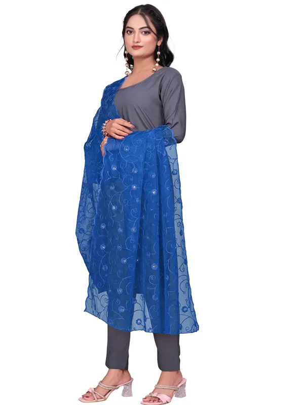 Organza_Floral_Jaal_Embroidered_Dupatta_With_Sequins_Kerosin_Blue