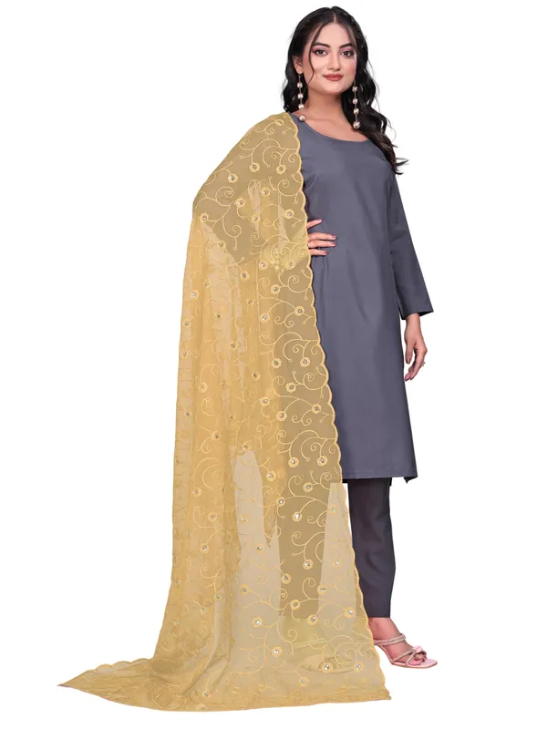 Organza_Floral_Jaal_Embroidered_Dupatta_With_Sequins_Beige