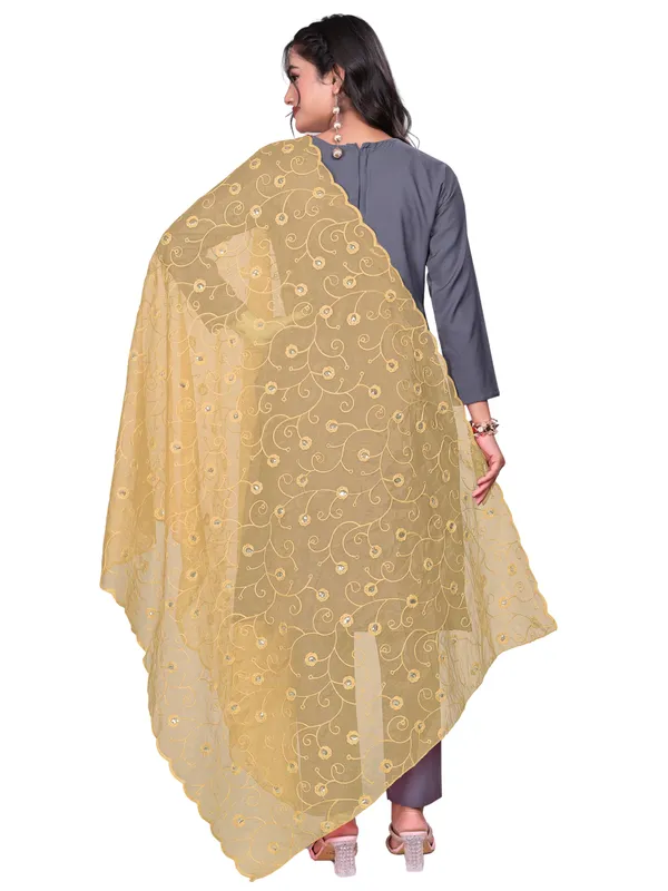 Organza_Floral_Jaal_Embroidered_Dupatta_With_Sequins_Beige